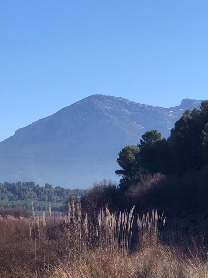APARTAMENTOS RURALES MIRADOR DEL NEGRATíN Cuevas del Campo Exteriér fotografie